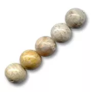 Perles Corail Fossilisé