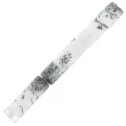Perles Dendrite