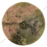 Perles Unakite