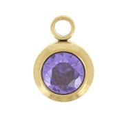Amethyst - Breloque pierre naissance oxyde zirconium 6mm Février Acier inox304L Doré Amethyst Breloque pierre naissance oxyde zirconium 6mm Février Acier inox304L Doré Amethyst