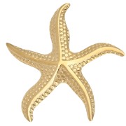 Broche étoile de mer 49x45 mm - Acier Inoxydable 304 Doré x1