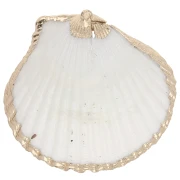 Coquillages