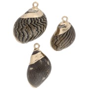 Pendentif coquillage rayés de 15 à 25 mm avec bordures dorées - Marron - Noir x1