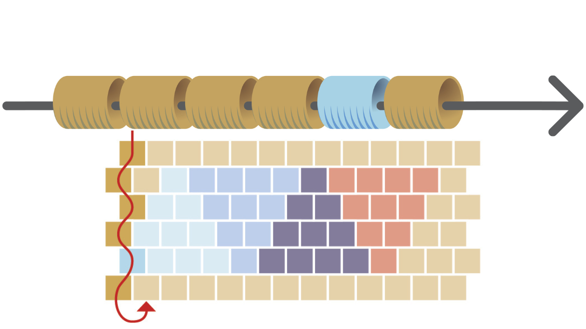 Bracelet triangle avec perles Miyuki 11/0 en peyote pair : Etape 2 Bracelet triangle avec perles Miyuki 11/0 en peyote pair : Etape 2