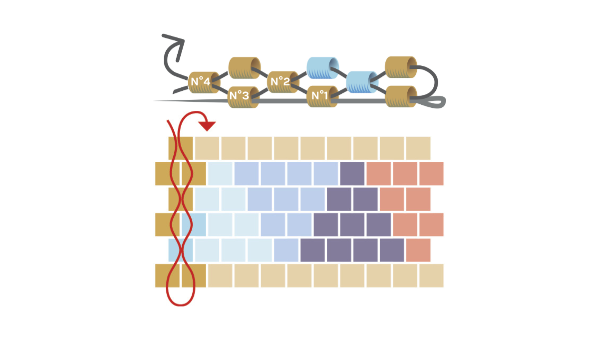 Bracelet triangle avec perles Miyuki 11/0 en peyote pair : Etape 4 Bracelet triangle avec perles Miyuki 11/0 en peyote pair : Etape 4