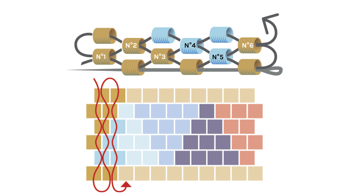 Bracelet triangle avec perles Miyuki 11/0 en peyote pair : Etape 5 Bracelet triangle avec perles Miyuki 11/0 en peyote pair : Etape 5