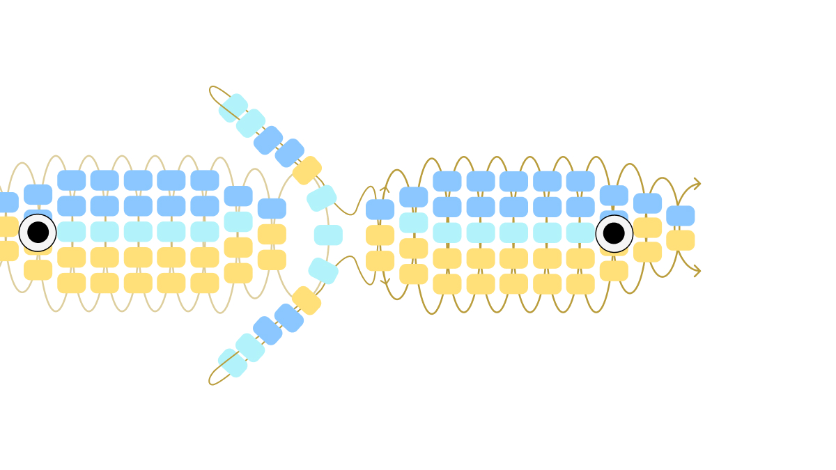 Porte clés poisson en perles de rocailles : Etape 5 Porte clés poisson en perles de rocailles : Etape 5