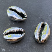 Coquillage Cauri finition argentée pour la création de bijoux DIY - 16 à 23 mm x 1