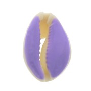 Coquillage Cauri avec résine époxy Violet pour la création de bijoux 20 à 25mm x1