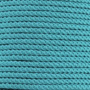 Cordon en polyester tressé 2 mm - Turquoise x1m