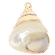 Pendentif coquillage conique 20 - 22 mm avec bordures dorées - Naturel x1