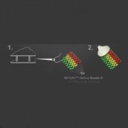 Fermoir mousqueton 9 mm pour Miyuki 11/0 6 rangs en Argent 925 x1