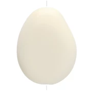 Ecru - Perle plate irrégulière en résine opaque 22x17 mm - Ecru x1 Perle plate irrégulière en résine opaque 22x17 mm - Ecru x1