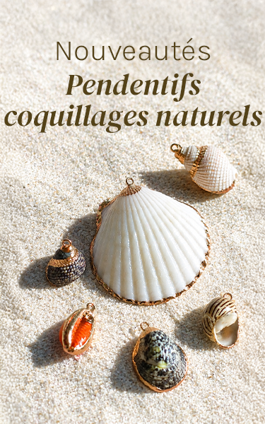 bloc_accueil/fr/encart_coquillages_naturels.png