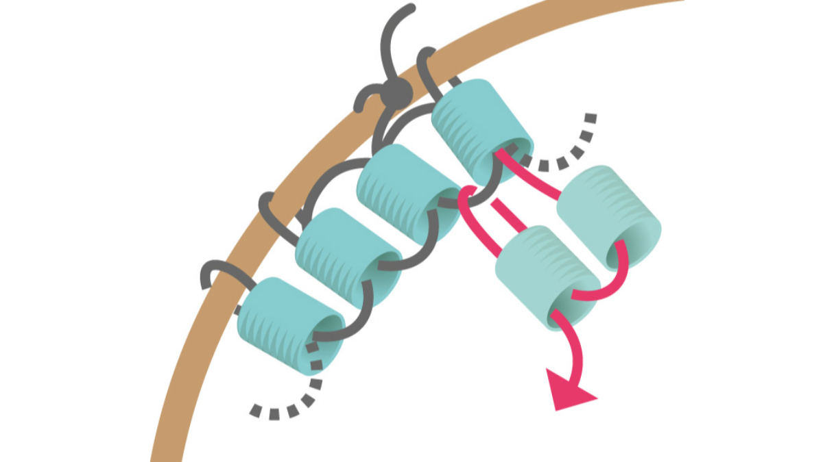 Boucles d'oreilles rondes en perles de rocailles turquoise tissage Brick Stitch : Etape 7 Boucles d'oreilles rondes en perles de rocailles turquoise tissage Brick Stitch : Etape 7