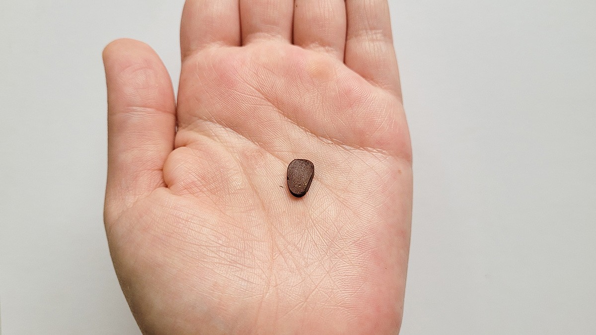 Boucles d’oreilles fleurs dorées en pâte polymère : Etape 7 Boucles d’oreilles fleurs dorées en pâte polymère : Etape 7